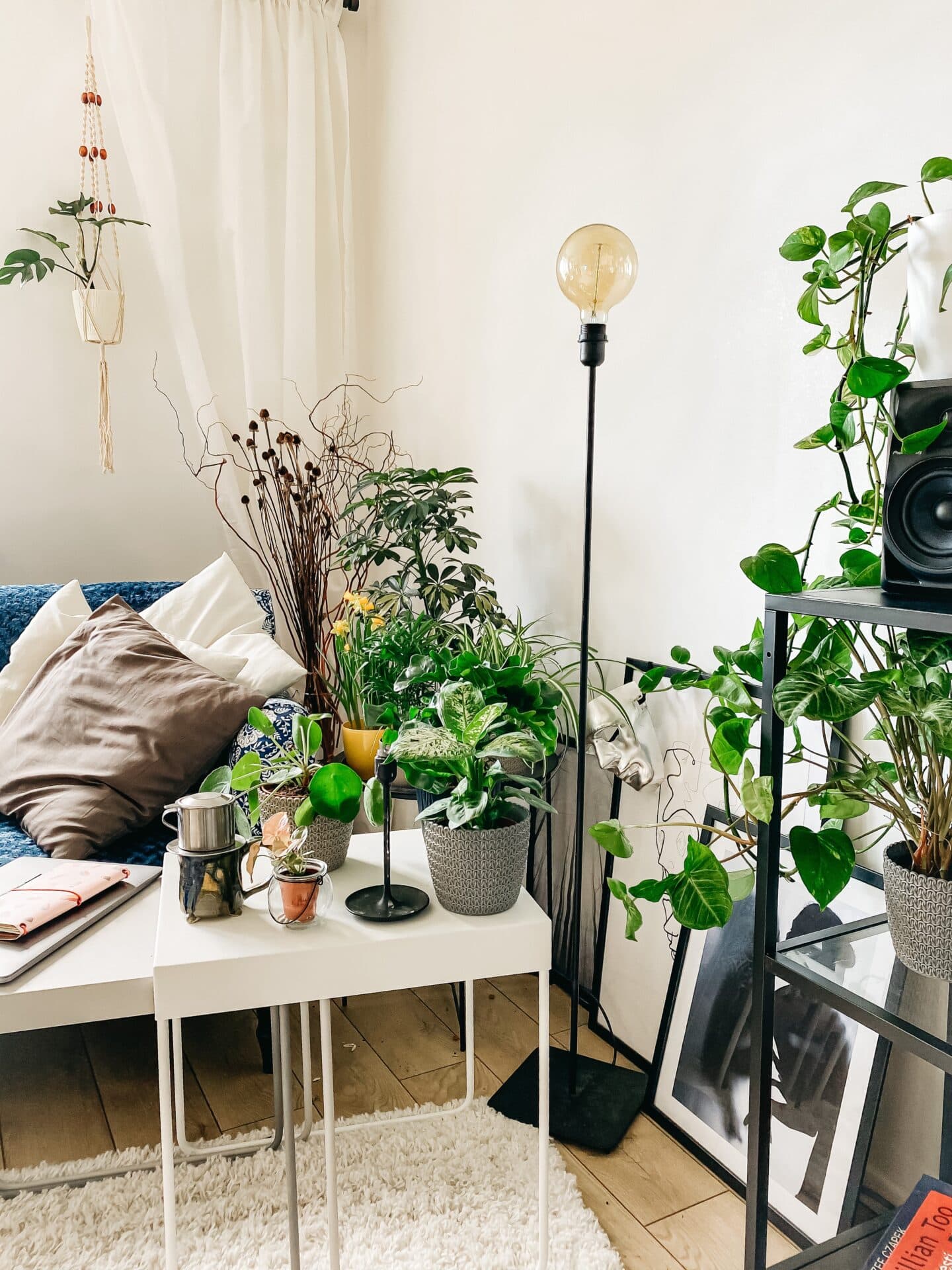 Urban jungle - dom pełen kwiatów
