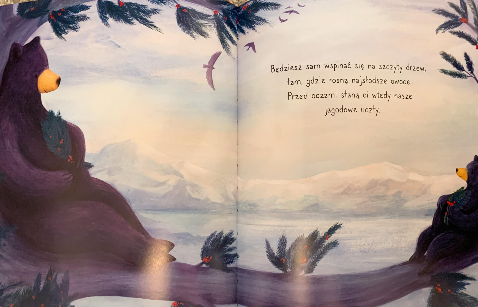 "Pewnego dnia, niedźwiadku" Stephanie Stansbie