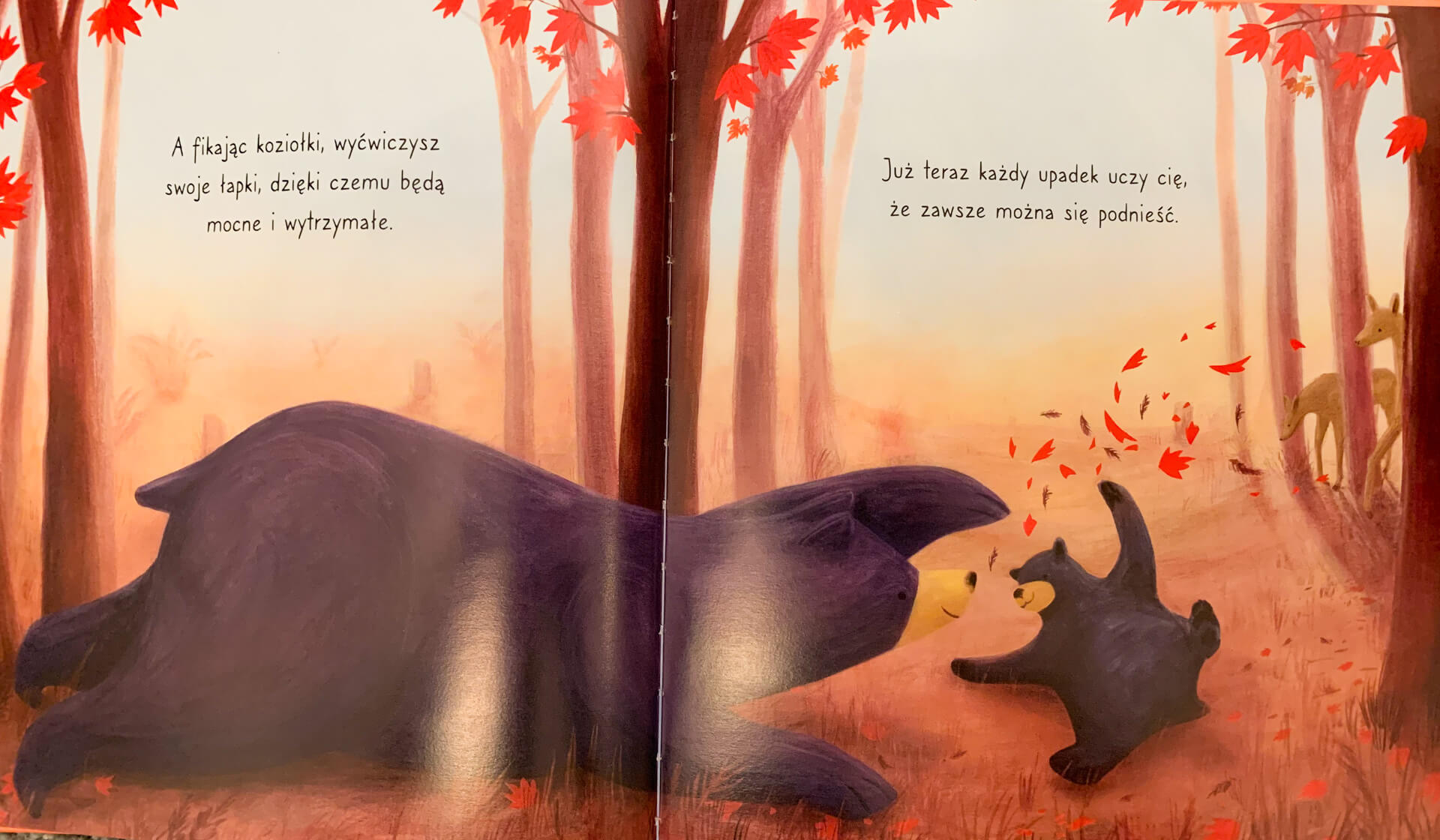 "Pewnego dnia, niedźwiadku" Stephanie Stansbie