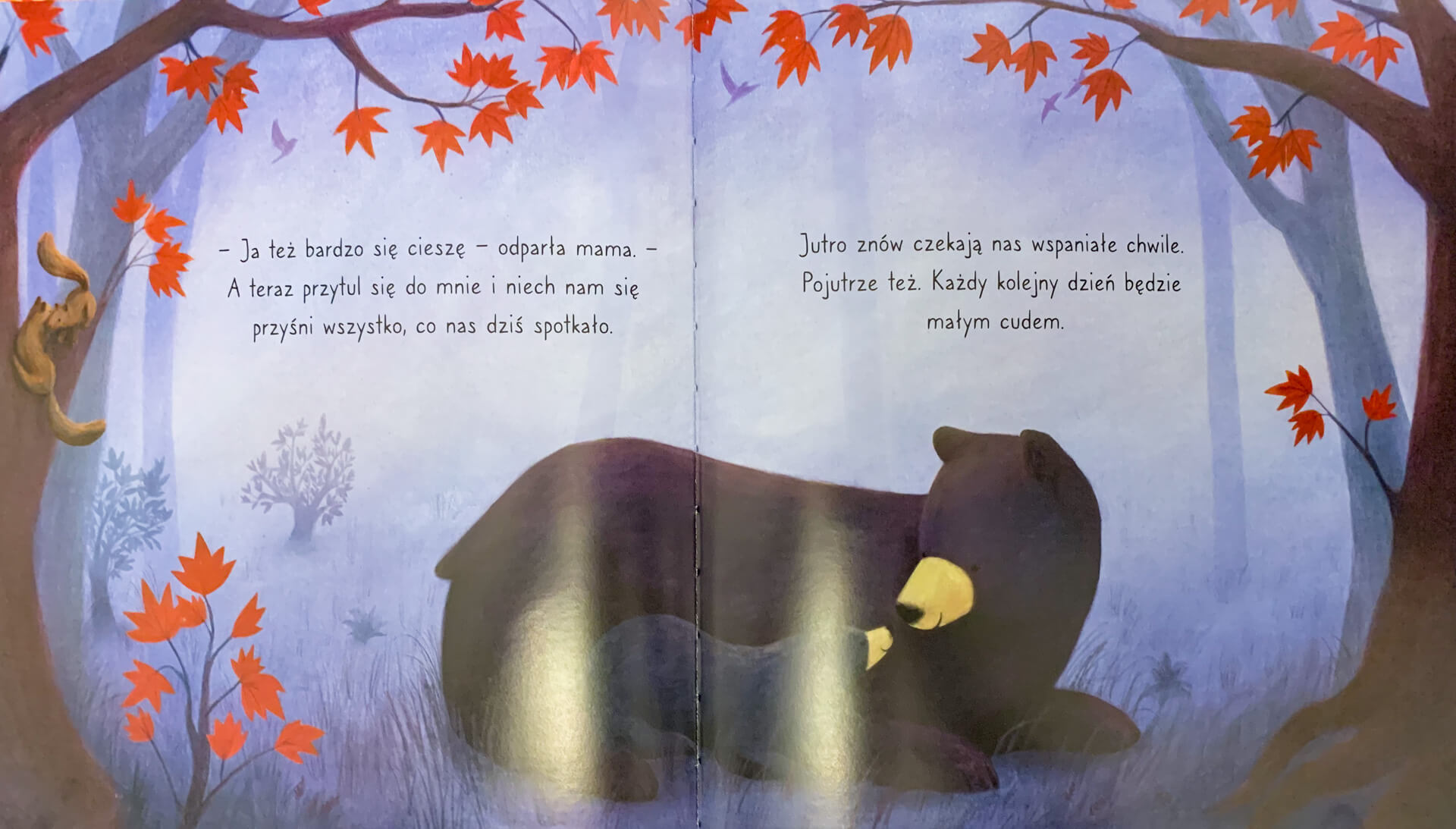 "Pewnego dnia, niedźwiadku" Stephanie Stansbie