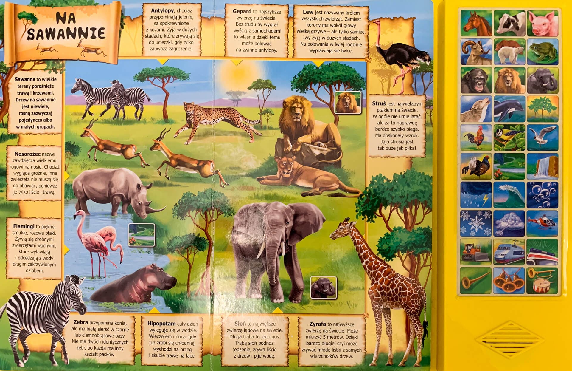 Bajki nauczajki dla przedszkolaków