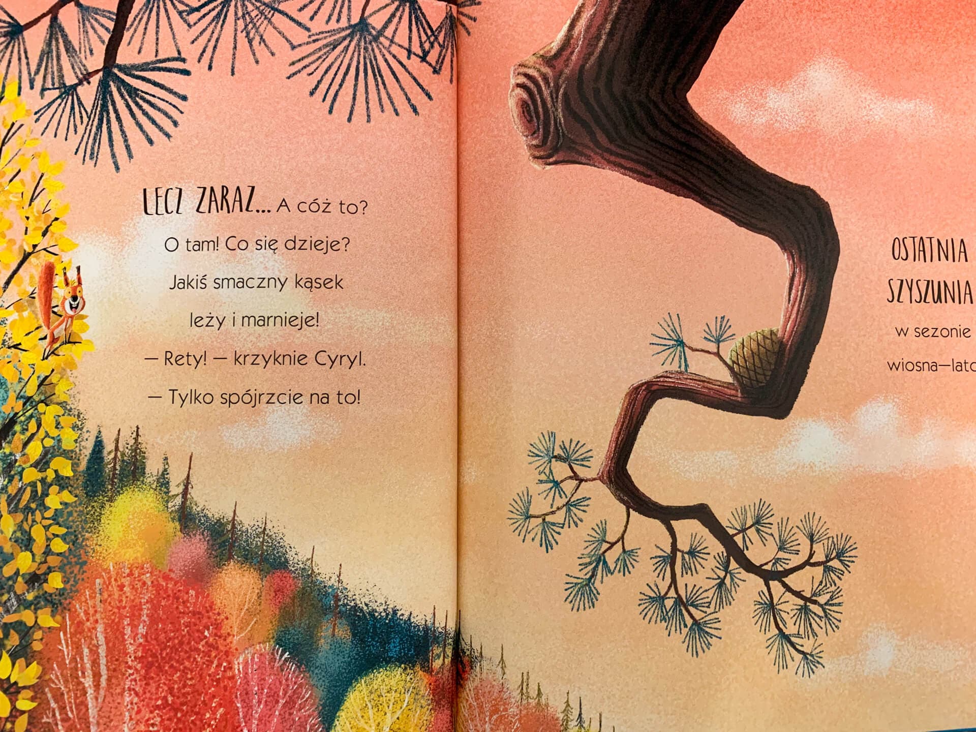 "Wiewiórki, które nie chciały się dzielić" Rachel Bright,&nbsp;Jim Field