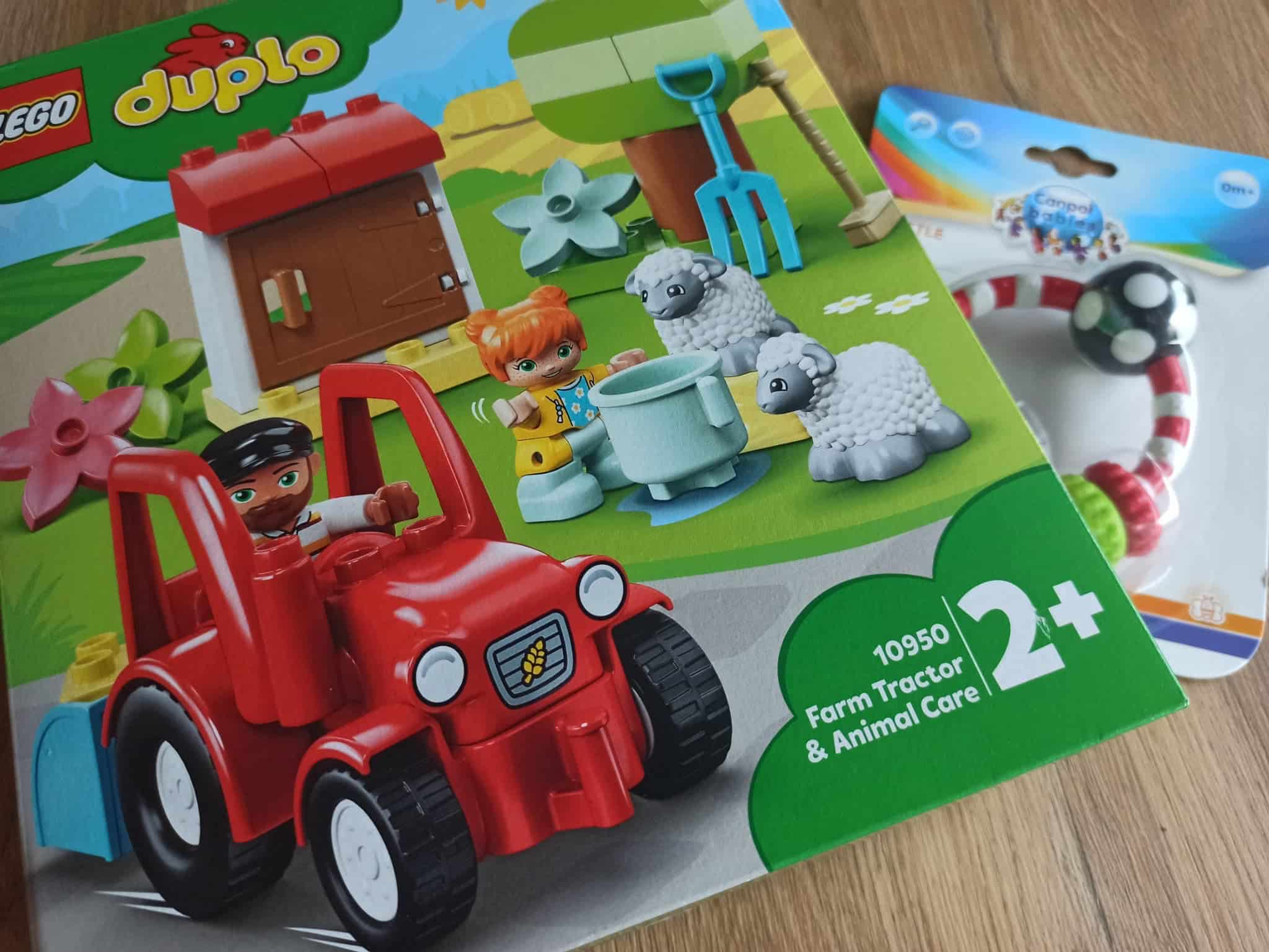 Jakie klocki Lego Duplo kupić dziecku?